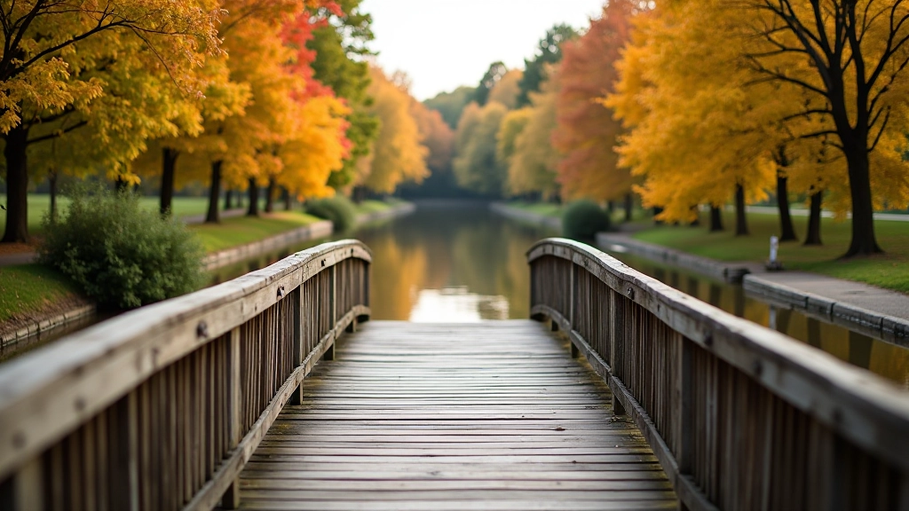 Wooden bridge structure spanning across calm river with cycling path and autumn foliage